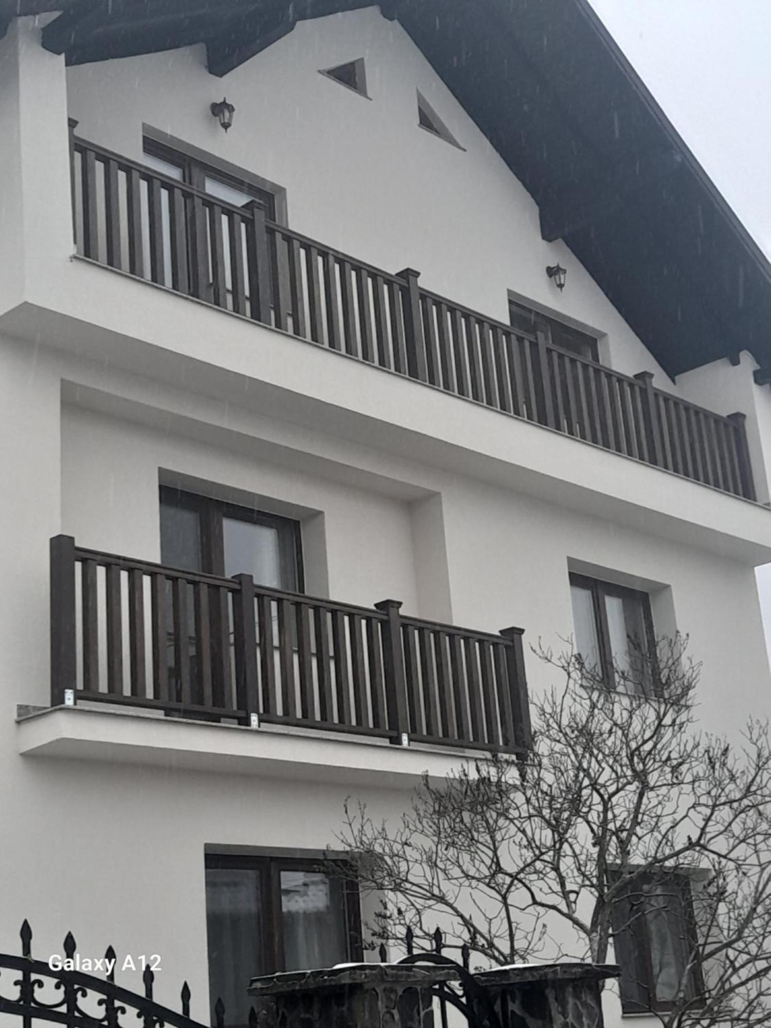 Casa Carmen Hotel Poienile Izei Exterior photo